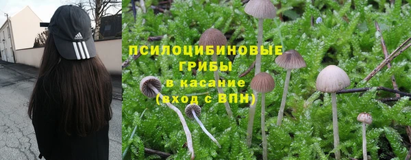 метамфетамин Аркадак