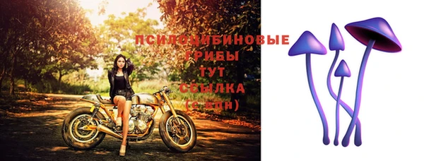 метамфетамин Аркадак