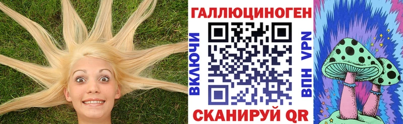 Псилоцибиновые грибы Cubensis  Кропоткин 