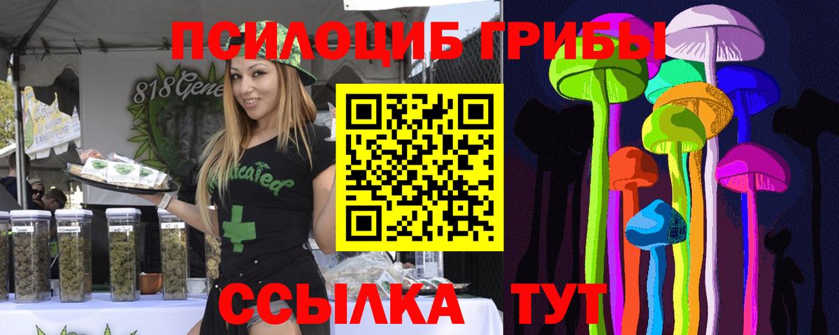 Псилоцибиновые грибы GOLDEN TEACHER Кропоткин