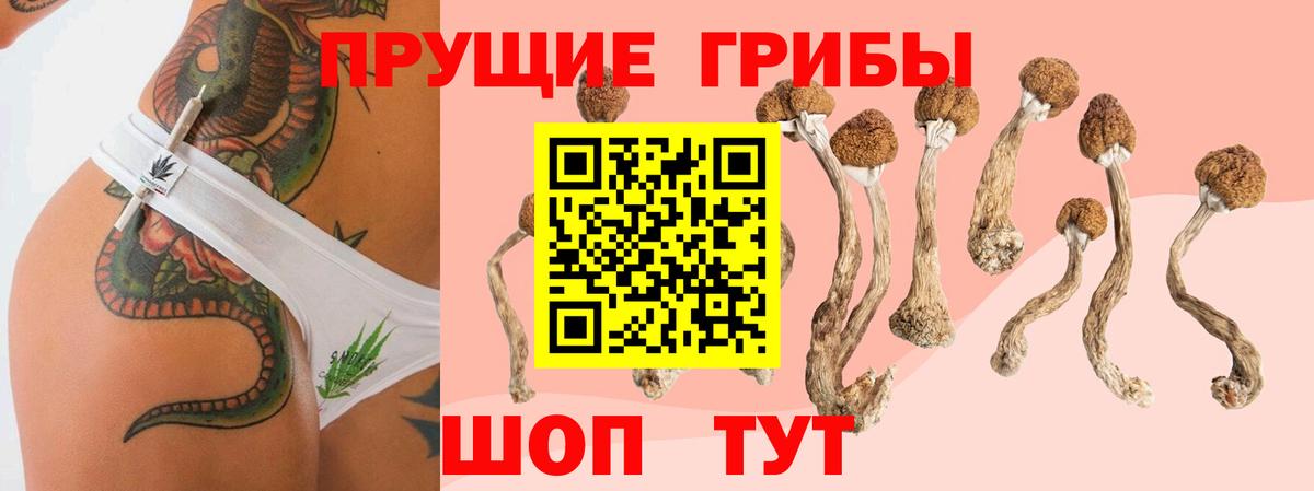 купить наркотик  Галлюциногенные грибы ЛСД  Кропоткин  Вход с VPN  Псилоцибиновые грибы Cubensis 