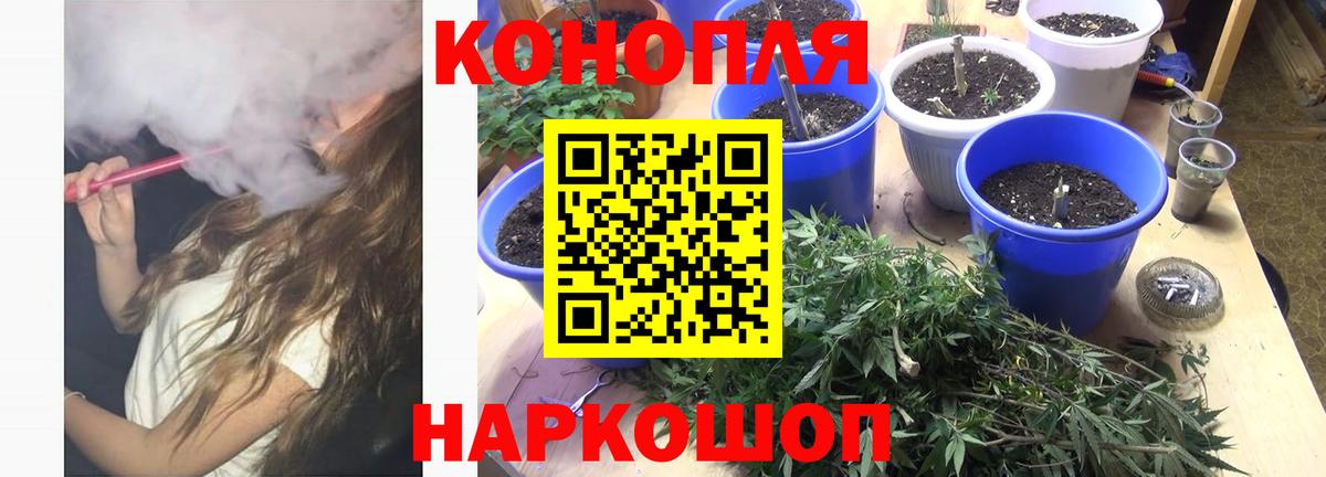 Шишки марихуана OG Kush  Шишки марихуана ГИДРОПОН  Кропоткин  Бошки марихуана гибрид  Каннабис семена  Вход с VPN 